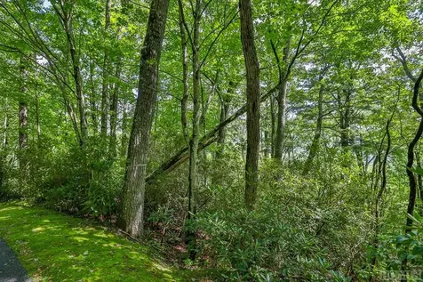 D-17 Cherokee Trace Cashiers NC 28717