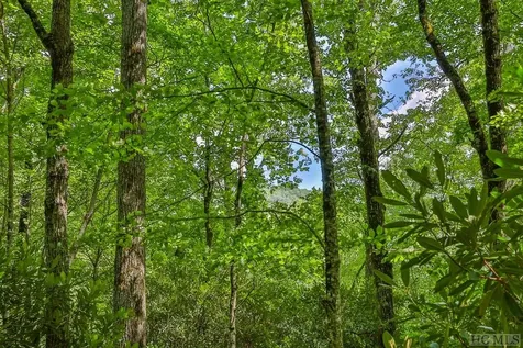 D-17 Cherokee Trace Cashiers NC 28717