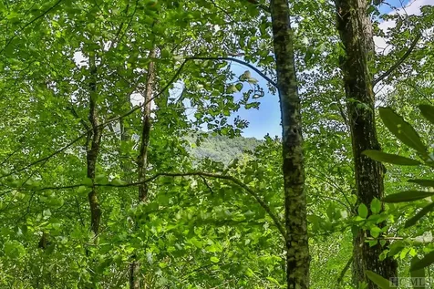 D-17 Cherokee Trace Cashiers NC 28717