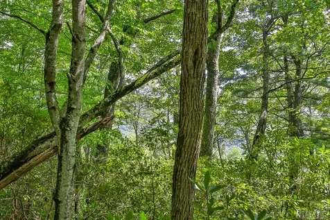 D-17 Cherokee Trace Cashiers NC 28717