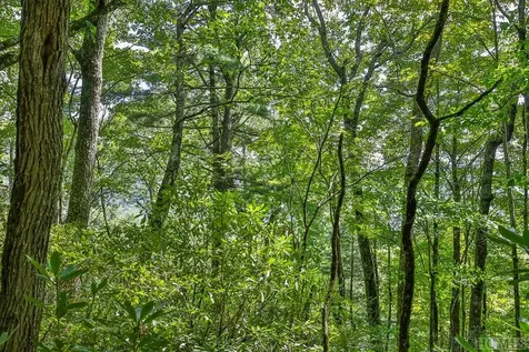 D-17 Cherokee Trace Cashiers NC 28717