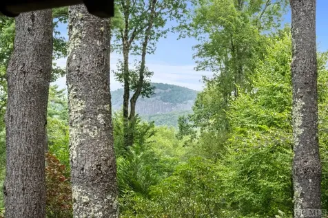 59 Wicket Way Cashiers NC 28717