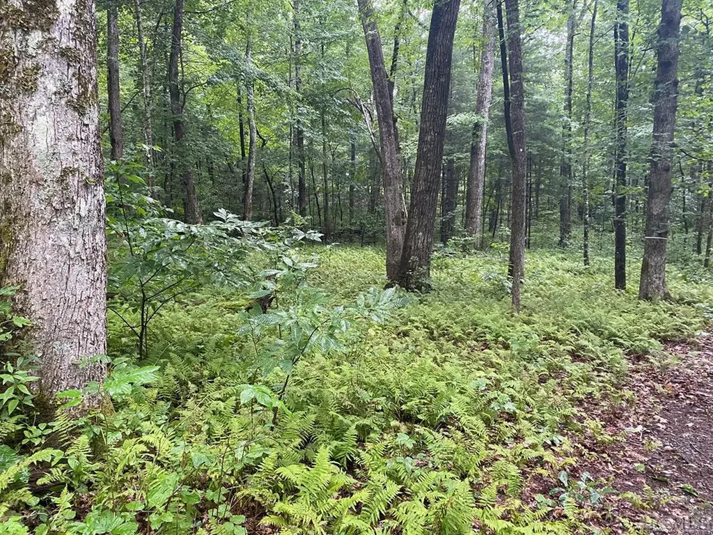 Lot 112 Uplands Road Cashiers NC 28717