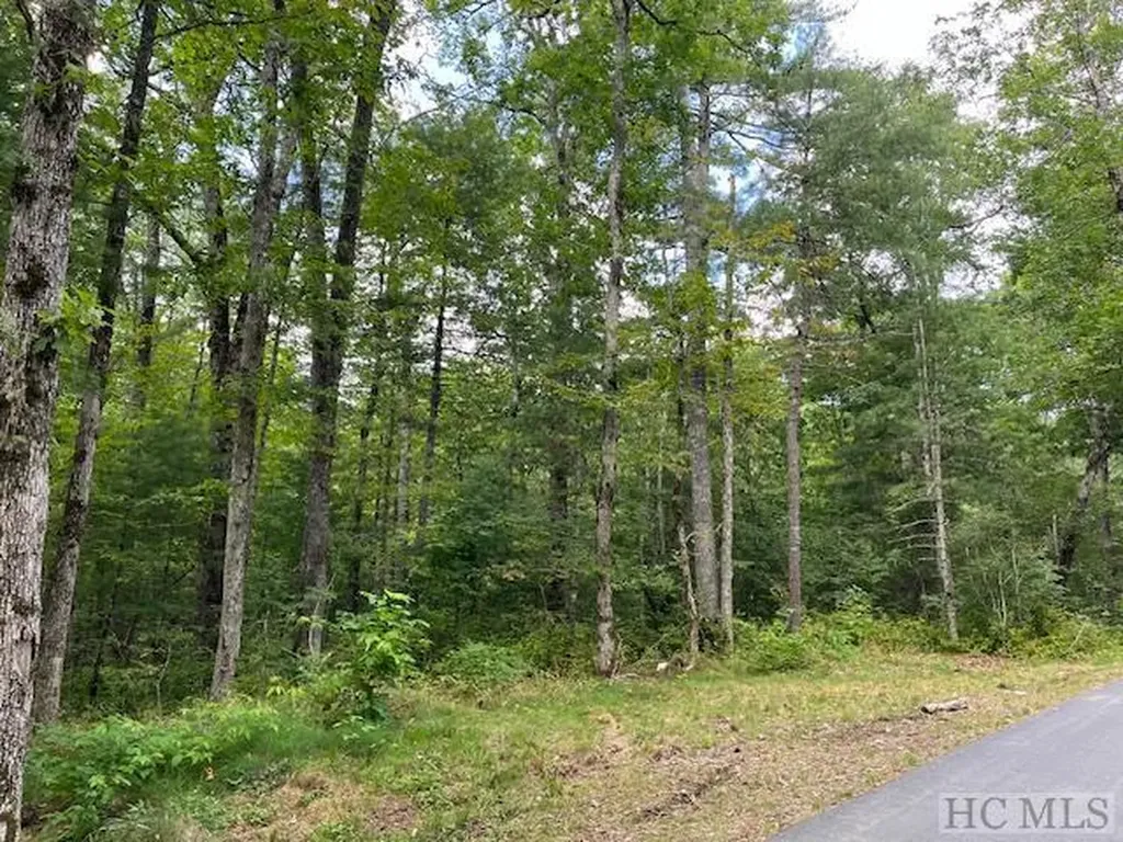 Lot 8 Norton Ridge Lane Cashiers NC 28717