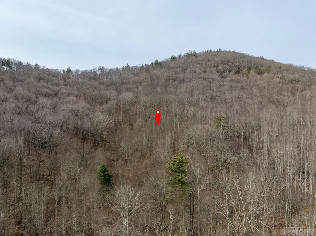 Lot 21 Shady Oaks Drive Cullowhee NC 28723