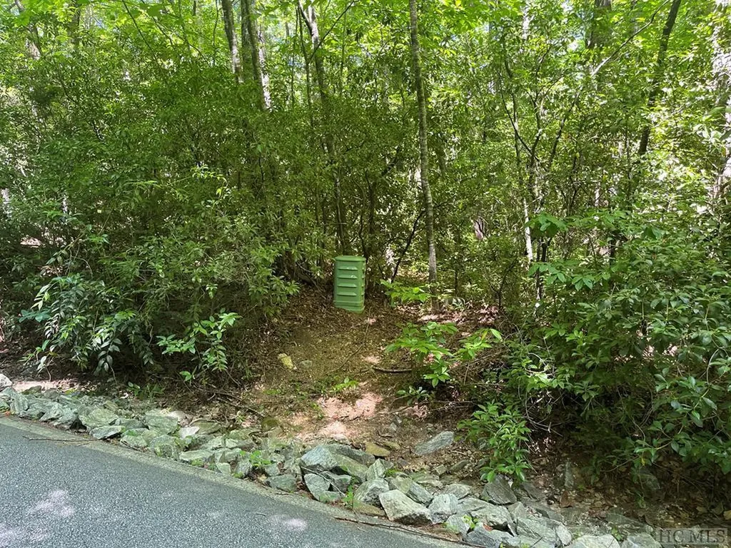 Lot 69 Black Oak Drive Sapphire NC 28774