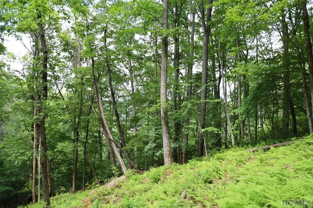 Lot Dd Pleasant Hill Road Cashiers NC 28717