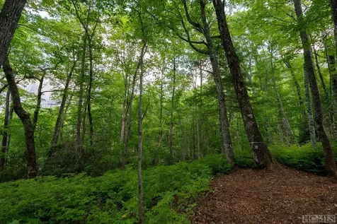 Lot 187 East Valley Road Sapphire NC 28774