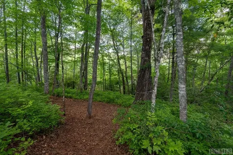 Lot 187 East Valley Road Sapphire NC 28774