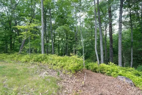 Lot 187 East Valley Road Sapphire NC 28774