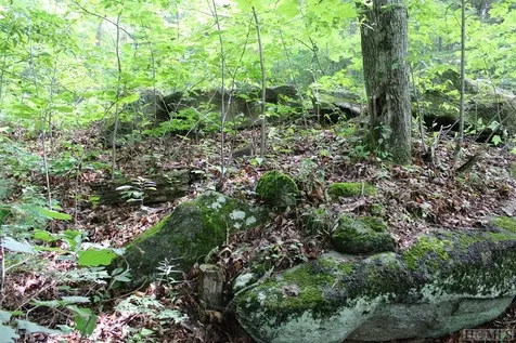 55/55b Beechfern Drive Glenville NC 28736