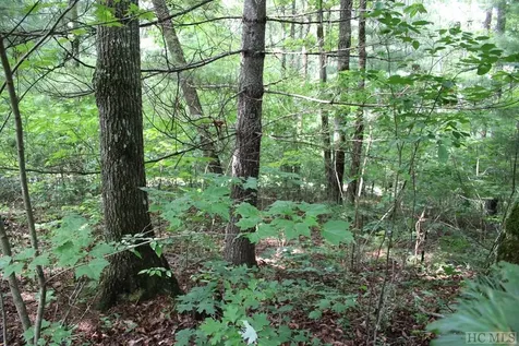 55/55b Beechfern Drive Glenville NC 28736