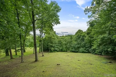 724 Browns Mountain Road Scaly Mountain NC 28775