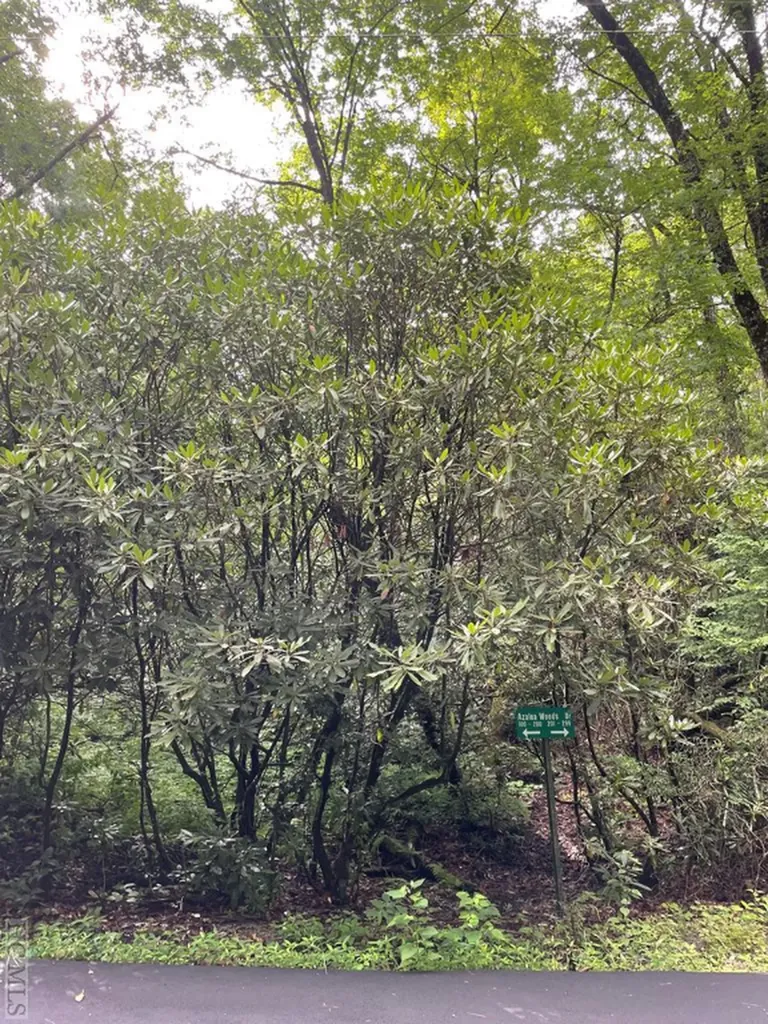N/a Azalea Woods Drive Highlands NC 28741