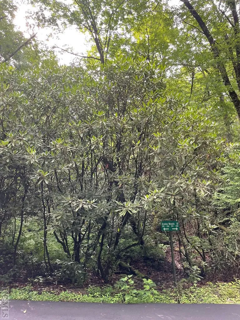 N/a Azalea Woods Drive Highlands NC 28741