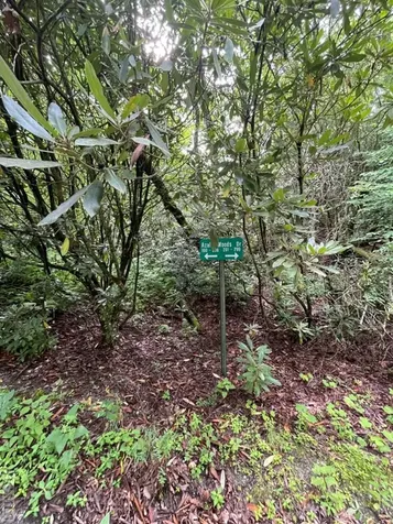 N/a Azalea Woods Drive Highlands NC 28741