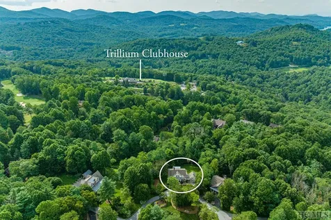 23 Drystack Way Cashiers NC 28717