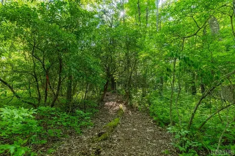 11 Fish Camp Trail Glenville NC 28736