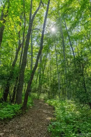 11 Fish Camp Trail Glenville NC 28736