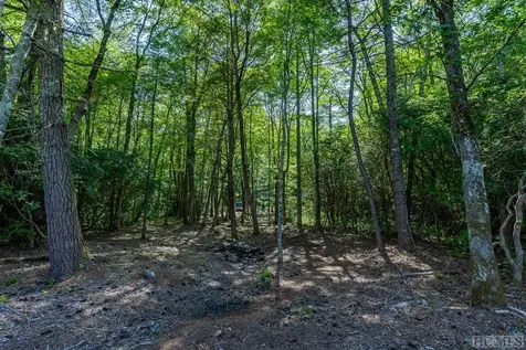 11 Fish Camp Trail Glenville NC 28736