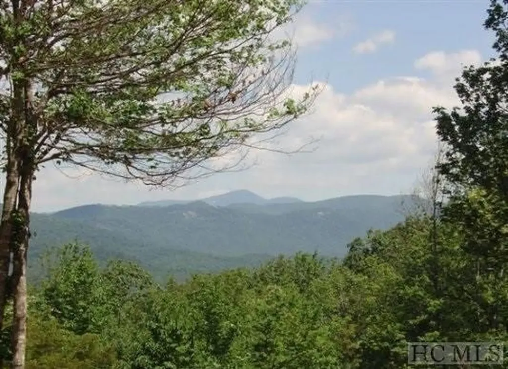 246 C. Harrison Hall Road Lake Toxaway NC 28747