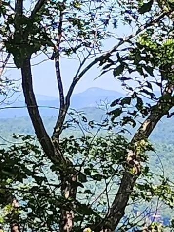 Tm I 57 Toxaway Court Lake Toxaway NC 28747