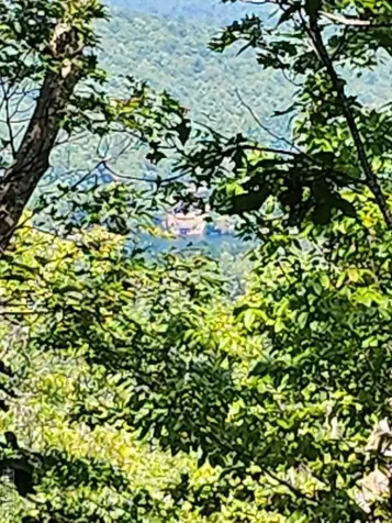 Tm I 57 Toxaway Court Lake Toxaway NC 28747