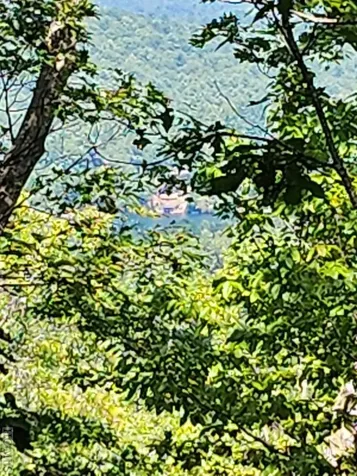 Tm I 57 Toxaway Court Lake Toxaway NC 28747