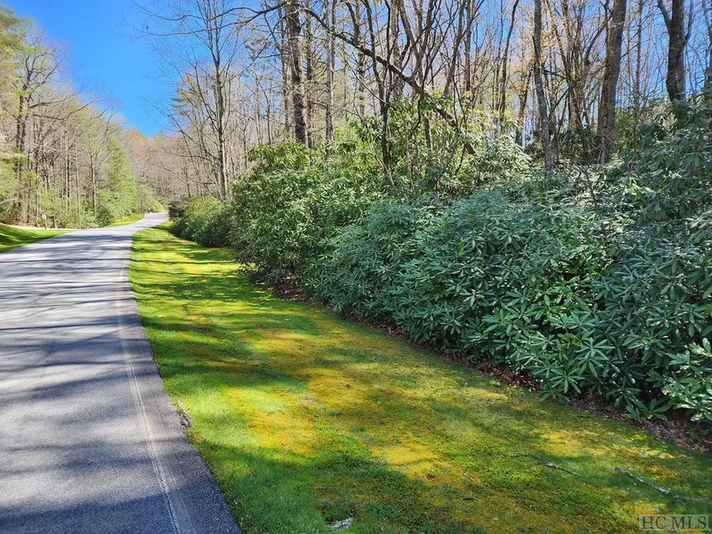48 Winding Creek Road Sapphire NC 28774