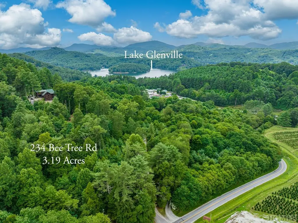 234 Bee Tree Road Glenville NC 28736