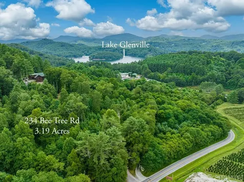 234 Bee Tree Road Glenville NC 28736