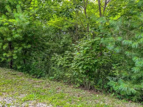 234 Bee Tree Road Glenville NC 28736