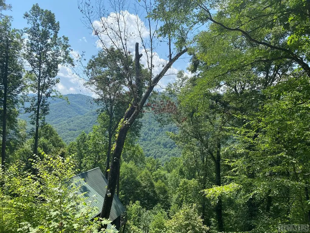 Lot 57 River Ridge Parkway Tuckasegee NC 28783
