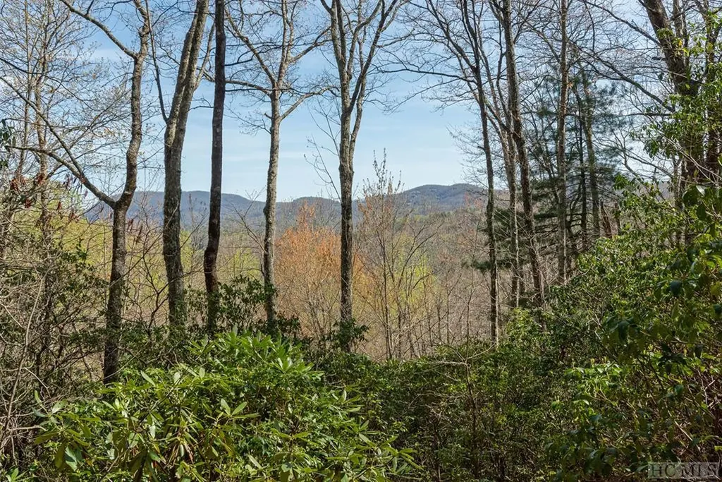 Lot 4 Trillium Ridge Road Cullowhee NC 28723