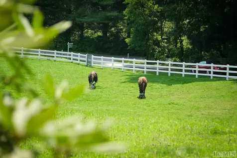 207 Forest Trail Highlands NC 28741