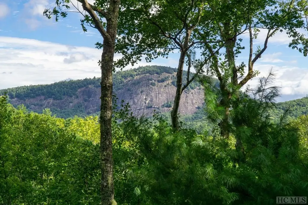 424 Gristmill Ridge Cashiers NC 28717