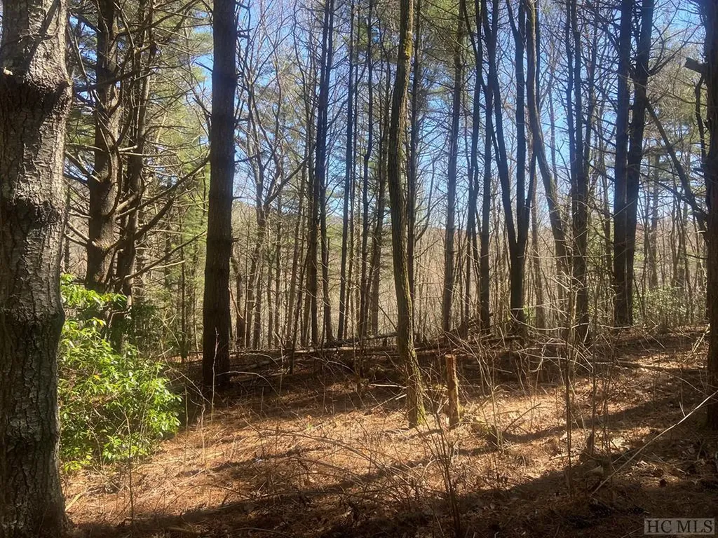441 Receptive Drive Glenville NC 28736
