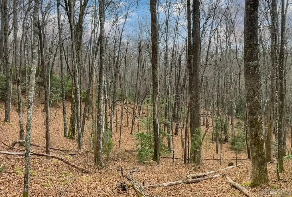 Lot 30 Peach Court Sapphire NC 28774
