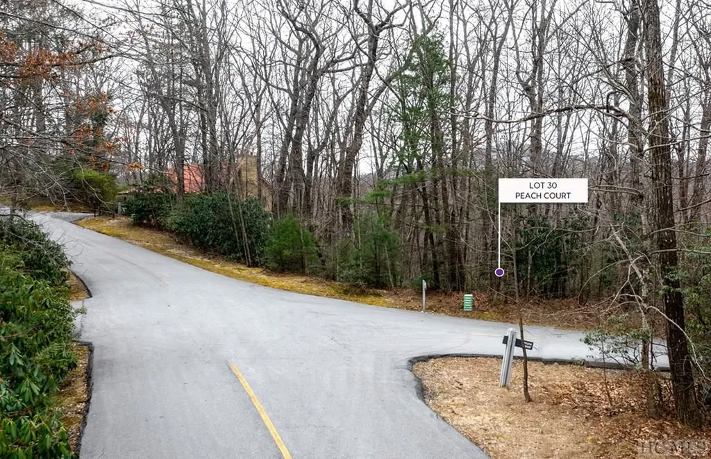 Lot 30 Peach Court Sapphire NC 28774