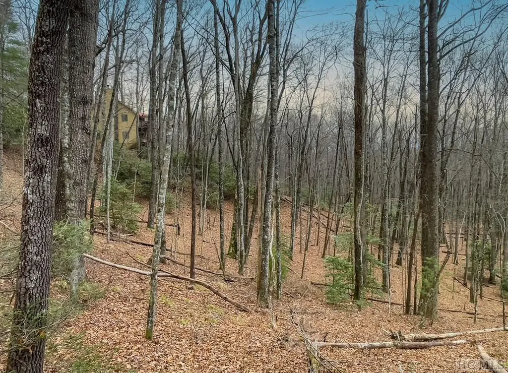 Lot 30 Peach Court Sapphire NC 28774