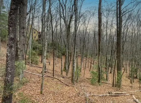 Lot 30 Peach Court Sapphire NC 28774