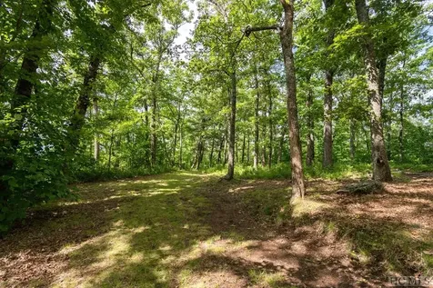 655 Moonshine Ridge Cullowhee NC 28723
