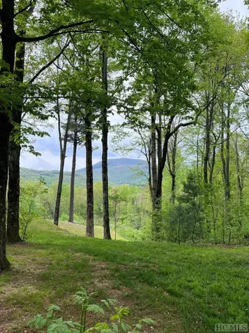 333 Martins Trail Scaly Mountain NC 28775