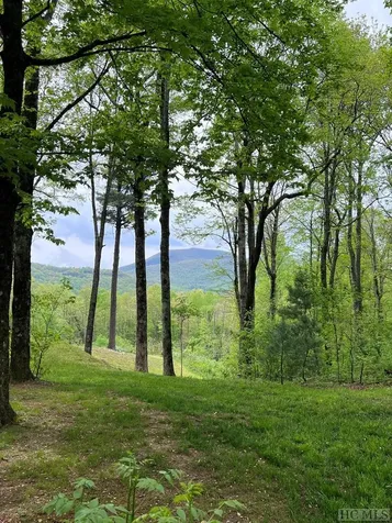 333 Martins Trail Scaly Mountain NC 28775