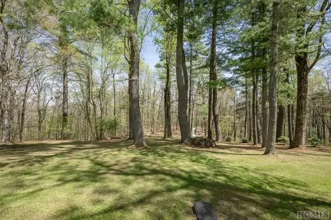 333 Martins Trail Scaly Mountain NC 28775