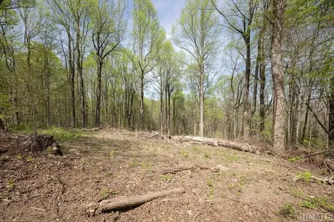 333 Martins Trail Scaly Mountain NC 28775