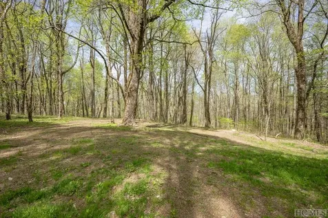 333 Martins Trail Scaly Mountain NC 28775
