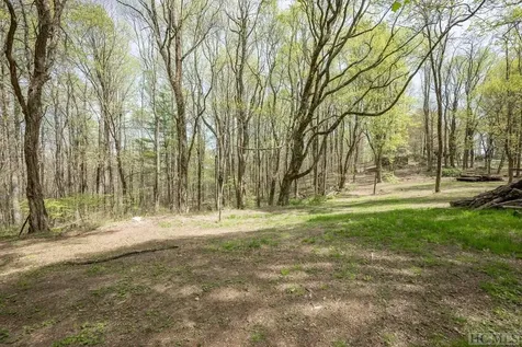 333 Martins Trail Scaly Mountain NC 28775