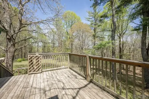 333 Martins Trail Scaly Mountain NC 28775