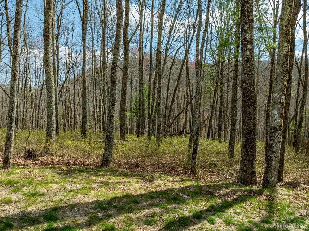 C35 Roaming Road Glenville NC 28736